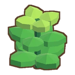 Basil