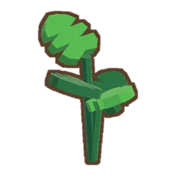 Monstera