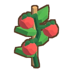 Tomato Plant